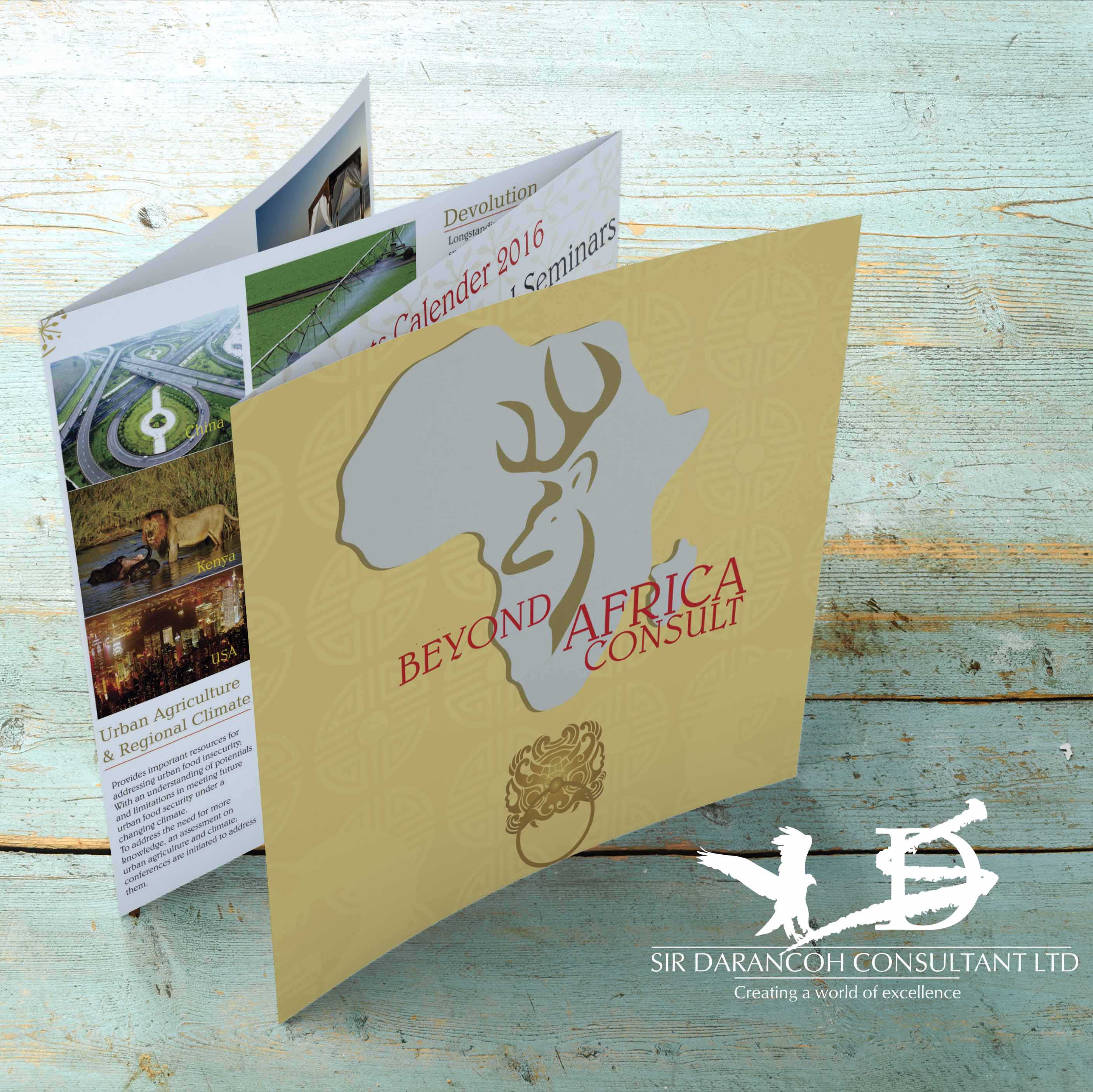 Beyond Africa Brochure